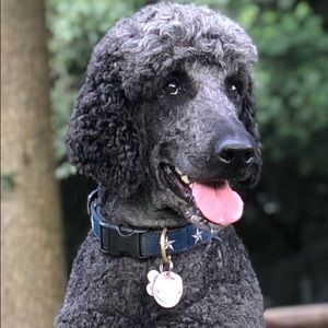 Meet your Posher, Robert